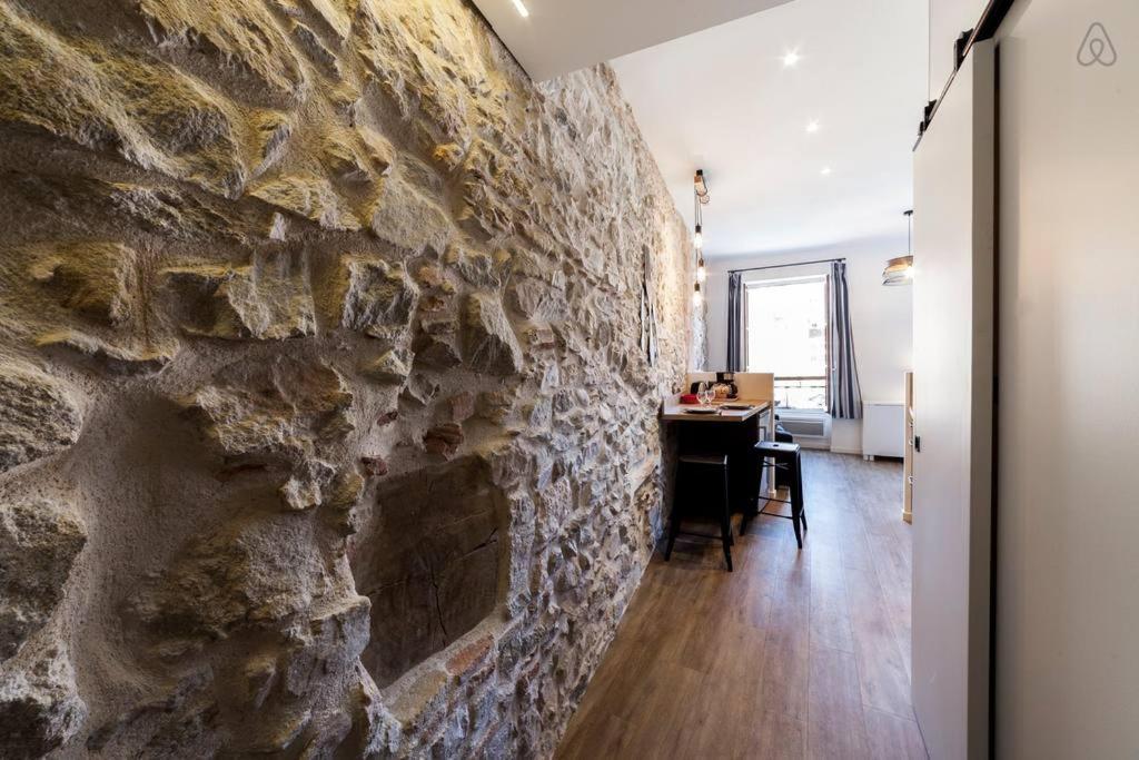Renovated apartment Saône view in the heart of the historic district Lião Exterior foto
